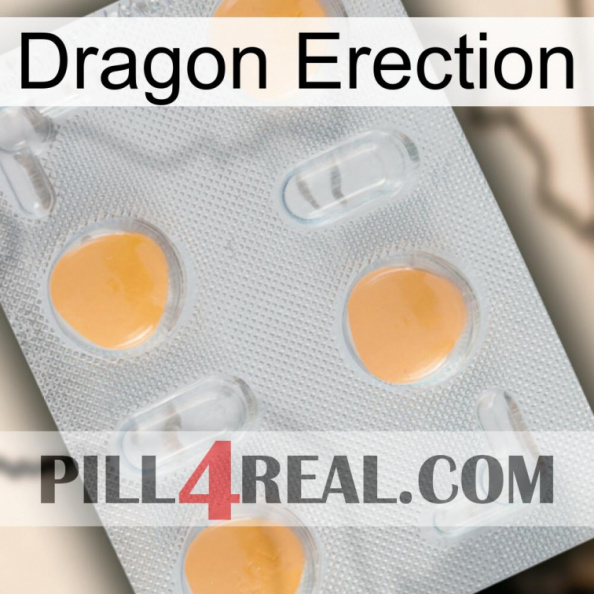 Dragon Erection 24.jpg